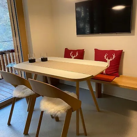 Apartment Stilvolle Ferienwohnung Direkt An Der Skipiste *