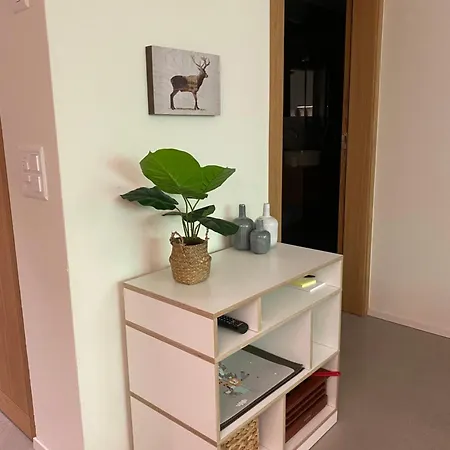 Apartment Stilvolle Ferienwohnung Direkt An Der Skipiste