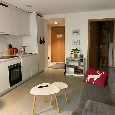 Apartmán Stilvolle Direkt An Der Skipiste *