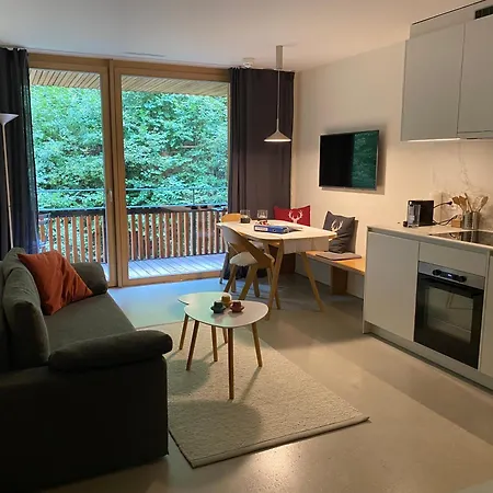 Stilvolle Ferienwohnung Direkt An Der Skipiste